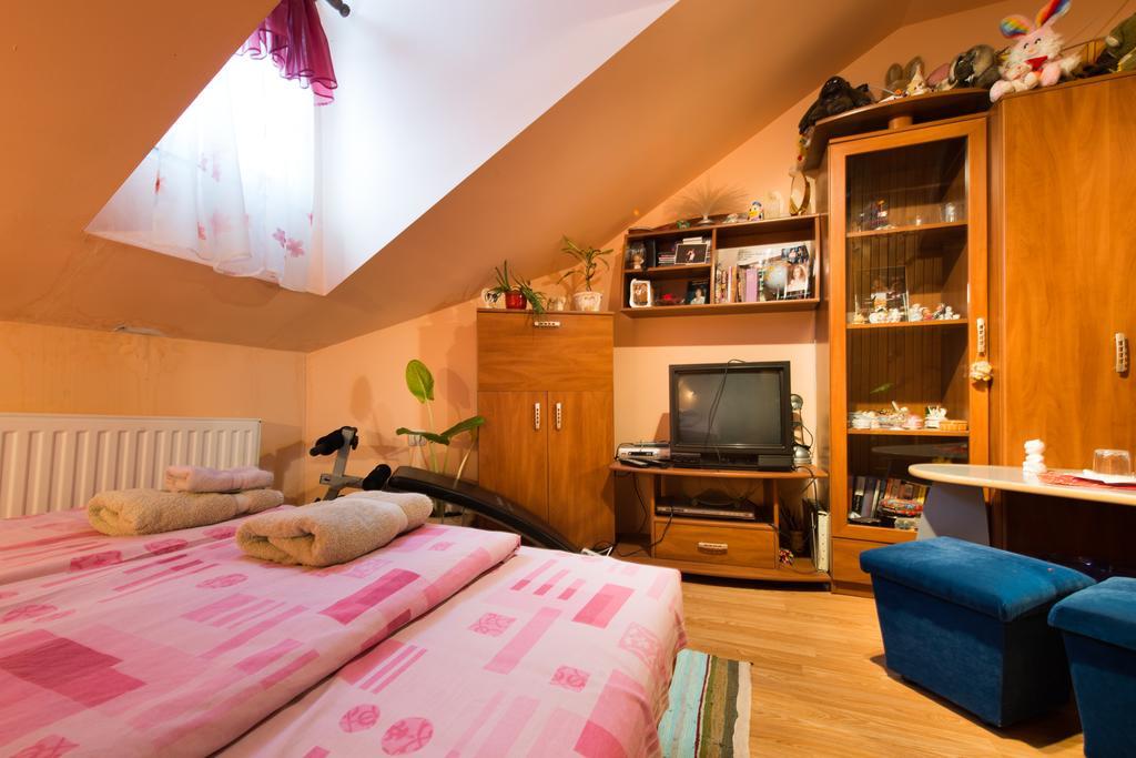 Hotel Eco Rural Tourism Association Skorenovac Pokoj fotografie